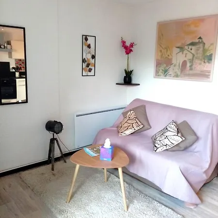 アパート Agreable T2 Calme - Terrasse 20m2 - Animaux Bienvenus カブール