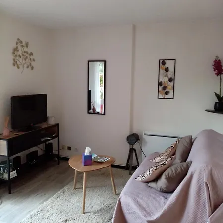 Agreable T2 Calme - Terrasse 20m2 - Animaux Bienvenus Apartment