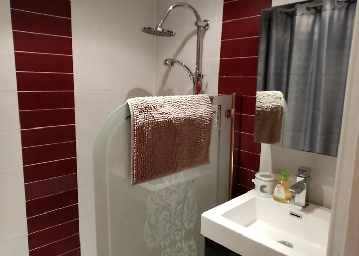 Agreable T2 Calme - Terrasse 20m2 - Animaux Bienvenus 꺄부흐