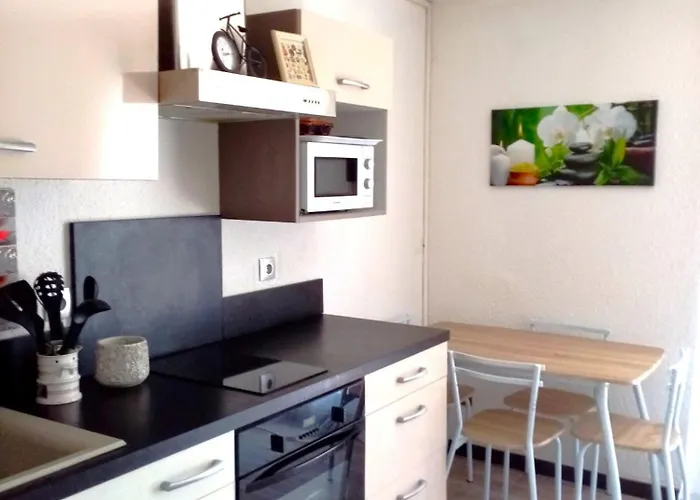 Agreable T2 Calme - Terrasse 20m2 - Animaux Bienvenus 꺄부흐