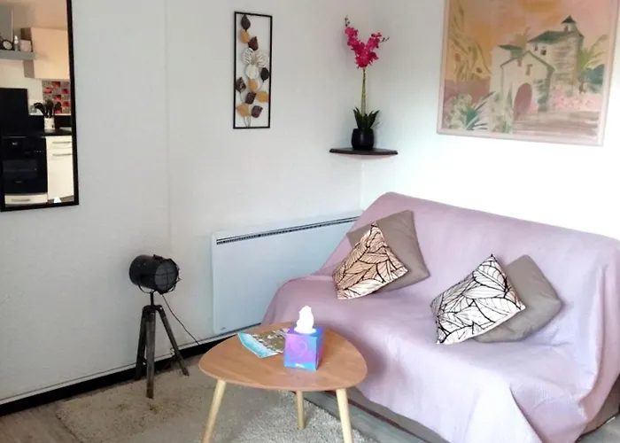 아파트 Agreable T2 Calme - Terrasse 20m2 - Animaux Bienvenus 꺄부흐