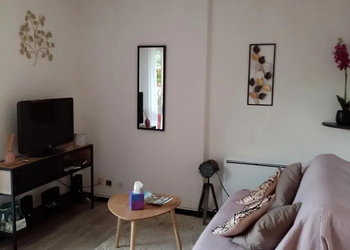 Agreable T2 Calme - Terrasse 20m2 - Animaux Bienvenus 아파트