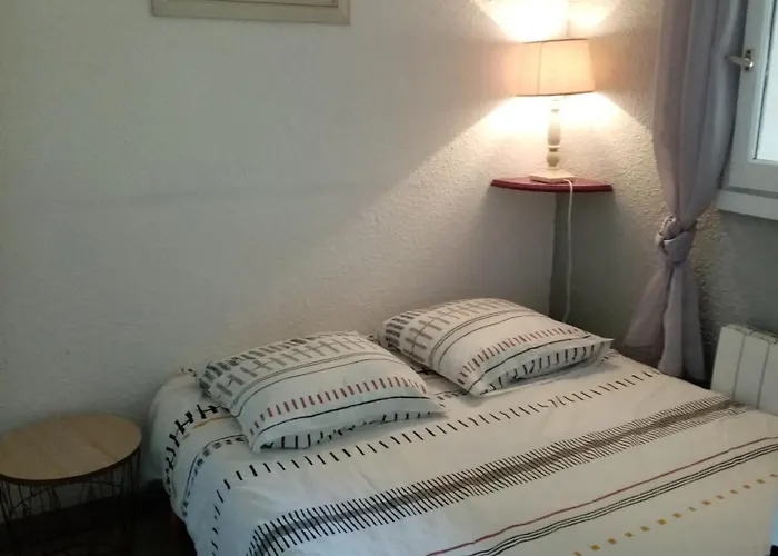 아파트 Agreable T2 Calme - Terrasse 20m2 - Animaux Bienvenus *