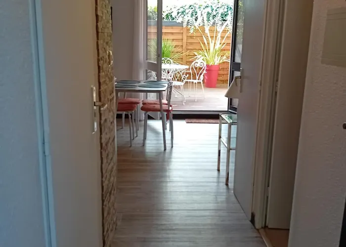 아파트 Agreable T2 Calme - Terrasse 20m2 - Animaux Bienvenus
